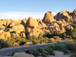 Skull Rock near Jumbo Rocks Campground